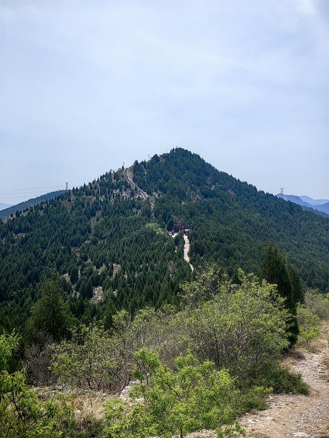 我的双城记 | 去爬山，听说山下有一棵前韩国总统栽下的树