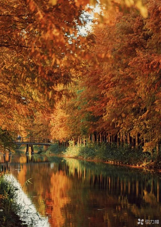 来苏州虎丘湿地“捡秋”！将“秋色”装进口袋→