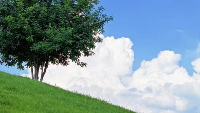 藏在济南的这些打卡地 ，圈粉无数！