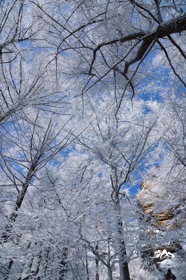 山东冬日奇观即将陆续上演，冰雪里的自然史诗等你解锁！