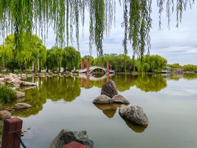 石家庄植物园的初秋