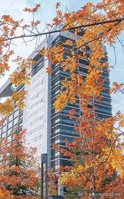 走不出这画了,我已被西海岸的秋景迷倒 🥹