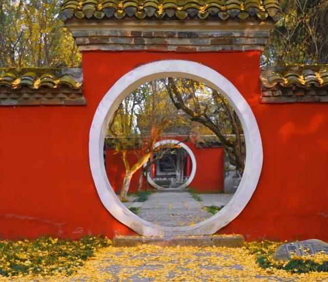 银杏鎏金，旱莲含苞！勉县武侯祠的秋日盛宴，邀君共赏