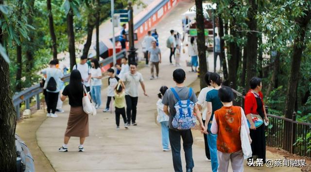 国庆中秋假期过半 蔡甸文旅人气爆棚