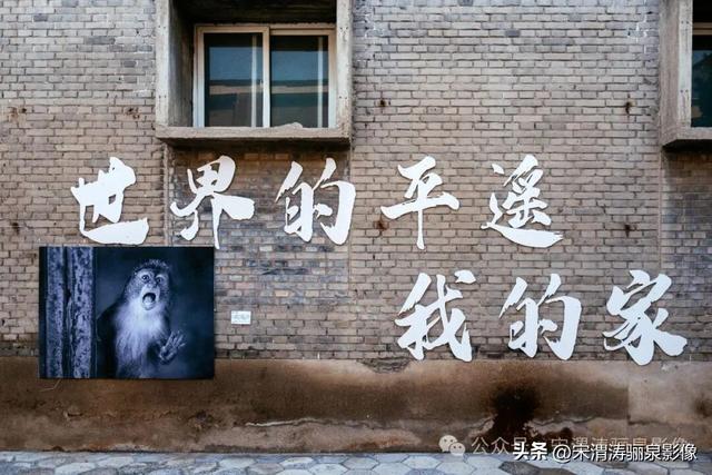 丰富多彩的山西四日游图纪