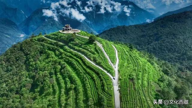 西藏墨脱再创纪录！中国门珞族人口最多、海拔落差最大的县！