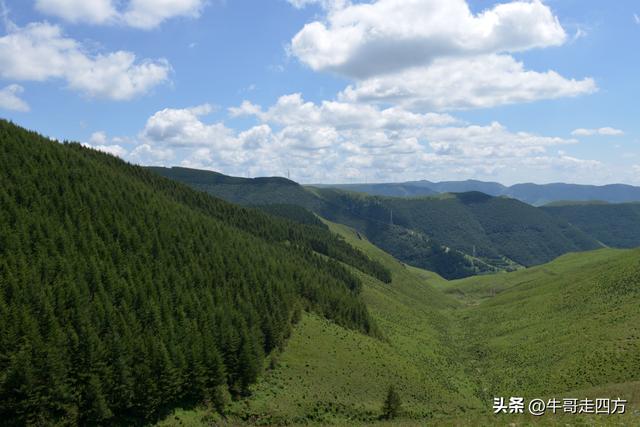 河北麻田岭（上）：绿野铺毡接云影、风轮伴路探山魂