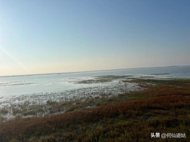 吴城狮子山观鸟