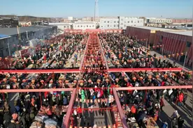 早八条｜今日10点！锁定央视！去长春朝阳区乐山镇逛大集／吉林省畜产品公用品牌工程宣传首发式在长举行图片