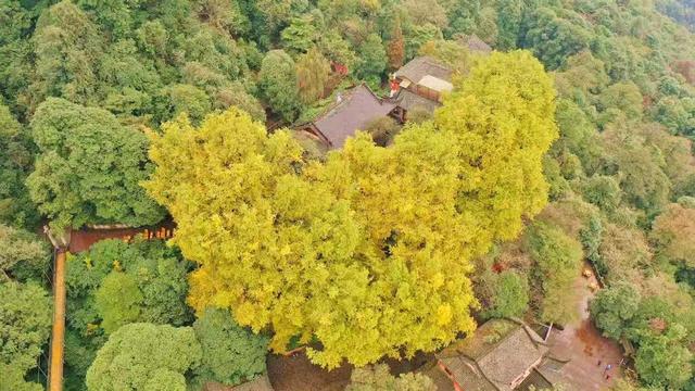 从必经到深游：雅安“爆改”文旅生意经