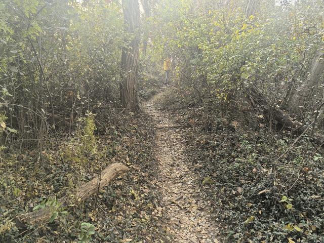 南京幕府山（东线）郊野徒步