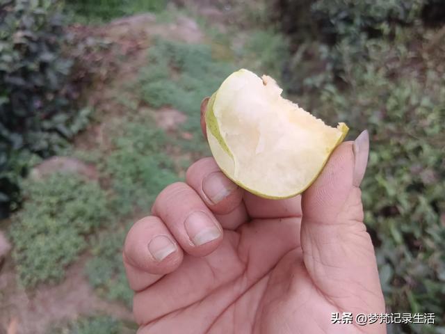 我最近热衷废墟游因为多少总会有收获,加油!我的胜利已近在眼前
