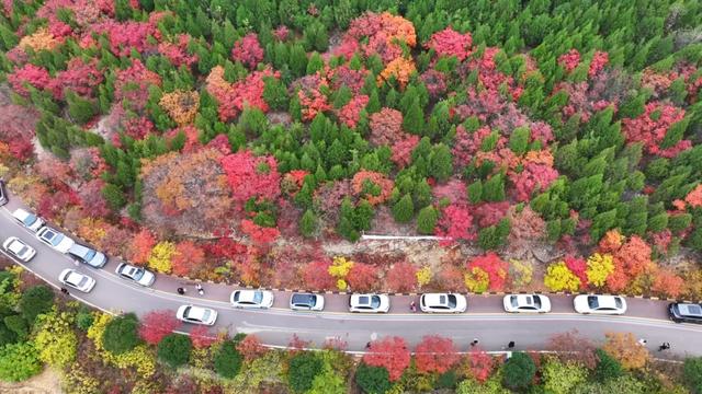 枣庄牛郎山,你怎么美成这样!!