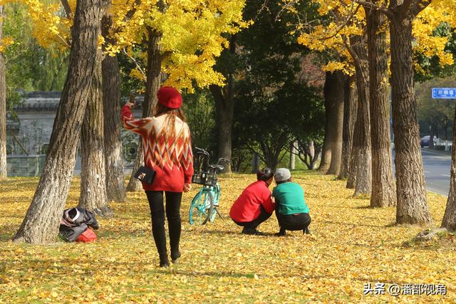 无锡吴都路，金色的世界