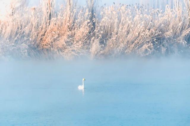 最低199元！兰州12月特价机票来啦！