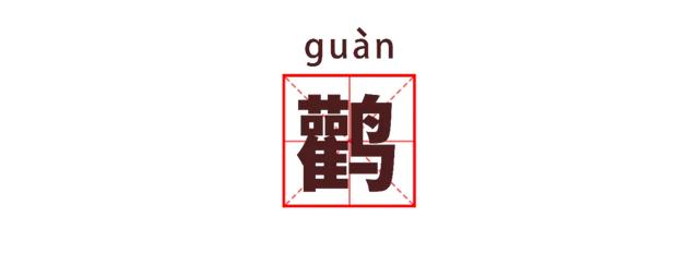 湖北公安 |【万里长江湖北行】鹳䴙䴘鸻鹈鹕鳽鹬鹛鹀䴓鹎，到底怎么读？