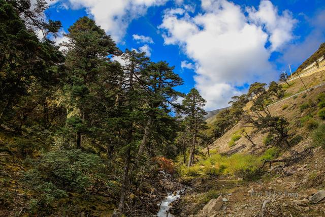 贡嘎大环线：在雪山的凝视下，与艰辛同行之巴王海（原创）