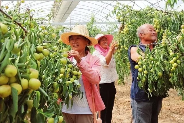 运城周末遛娃天花板！亲子采摘甜翻时光～