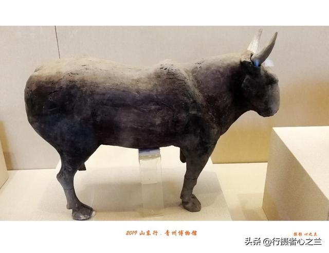 山东行游影记（103）—青州博物馆（七）
