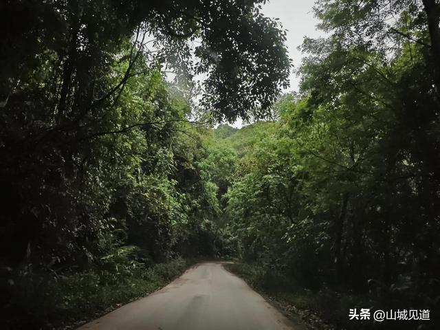 219国道云南段自驾路况2025