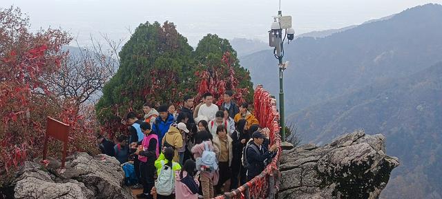 最爱秋意行不足 再上翠华赏秋色