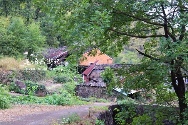 宁波奉化由九龙传说得名的山村，既如世外桃源又如绿野仙踪，真美