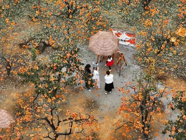 图游天下|去哪儿玩？高清组图，晒出打卡好地