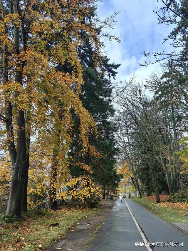 温哥华游记（六）