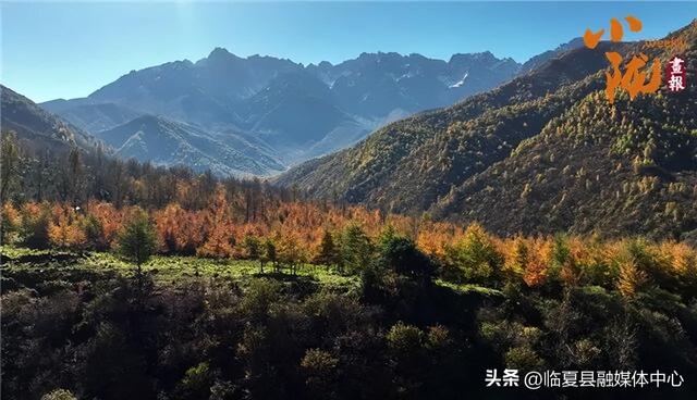 临夏太子山：深秋画卷与初雪的浪漫邂逅
