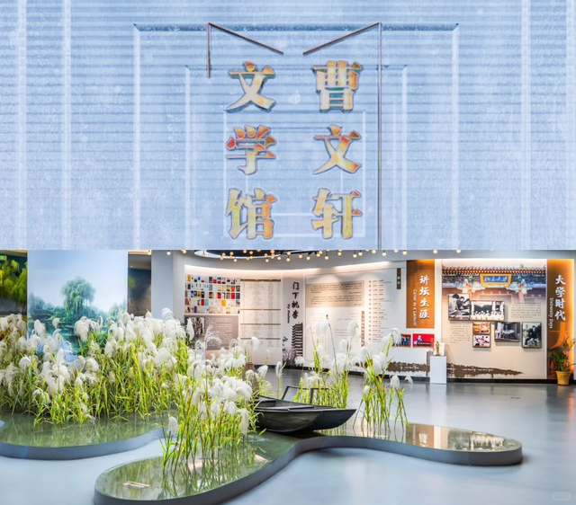 入选长三角典型案例！