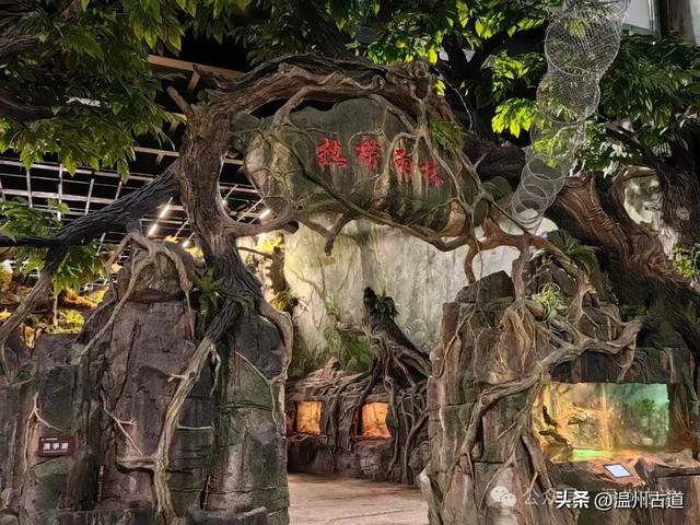 温州这个以畲族始祖命名的4A级景区，秘藏着一座“生物王国”！
