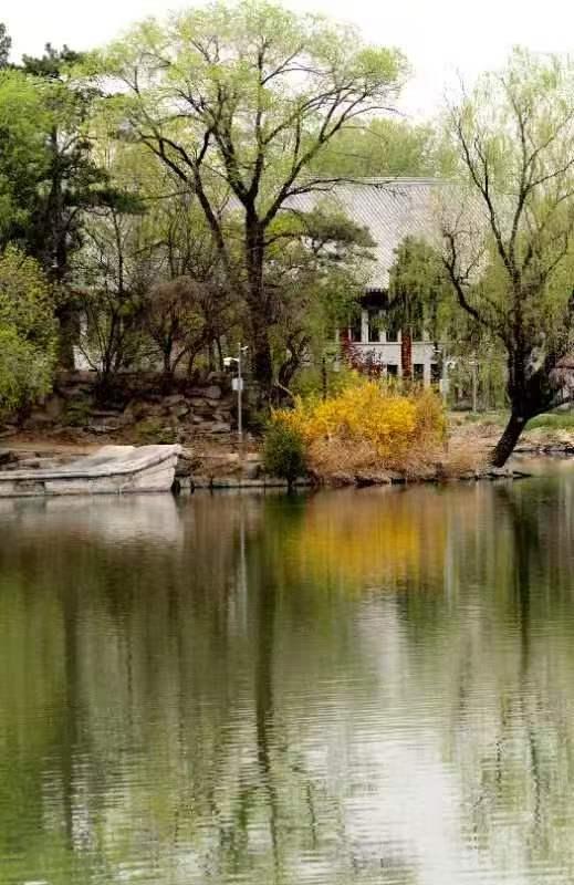 北大学子镜头中的燕园美景