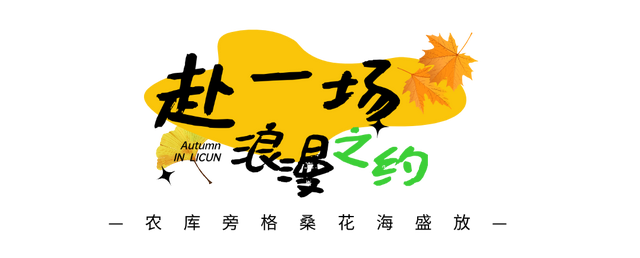 济南秋日必冲！锦鲤大赛即将开启，行程直接抄作业！