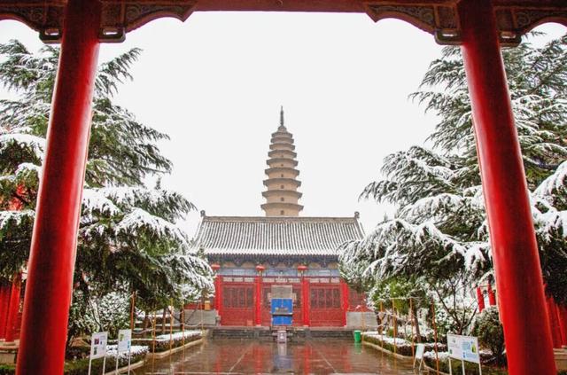 黄河!天鹅!壁画!美食!四条主题线路打开初冬的N种游玩方式