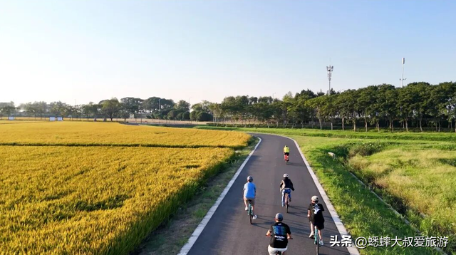 冲冲冲，2026年江浙沪“自行车公园”来了，快来体验一站式骑行！