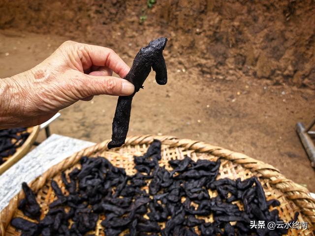 “天下第一福地”、西安这么有名气的地方免费开放，竟然还不知道