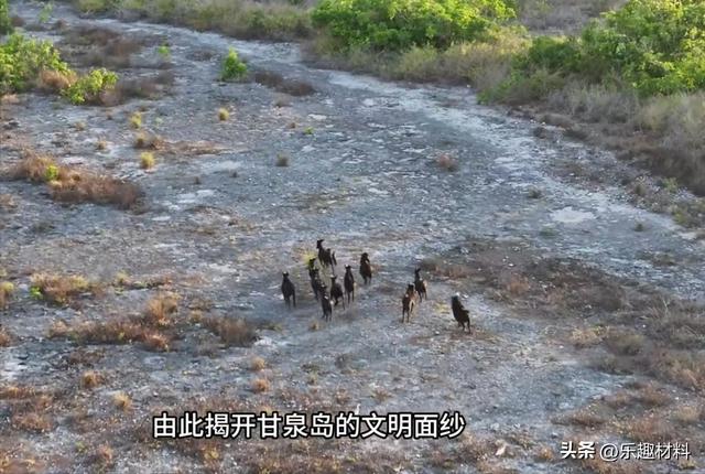 西沙甘泉岛险被越南侵占，岛上有神奇三宝，每样在南海都十分罕见
