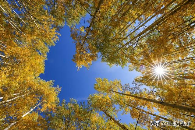 大光圈超广角变焦镜头：佳能 RF 15-35mm f/2.8 L IS USM 镜头评测