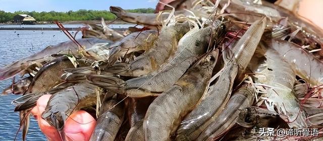 一个月后	，中洪恐断交，洪都拉斯新总统：中国大陆不给我们好处