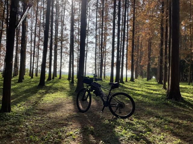 骑游仪征龙山森林公园、六合长江渔村