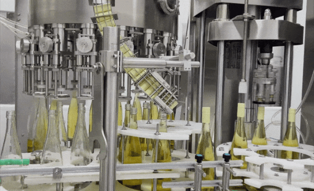 为何一到弥勒就快乐？答案揭晓…