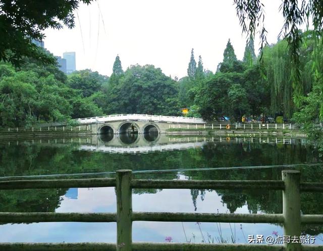 成都主城区老牌公园，最适合乘凉避暑，超级舒服，地铁公交直达！