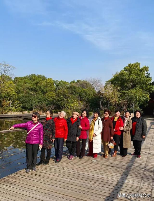 盘龙悠远银杏黄 水中学友情谊长
