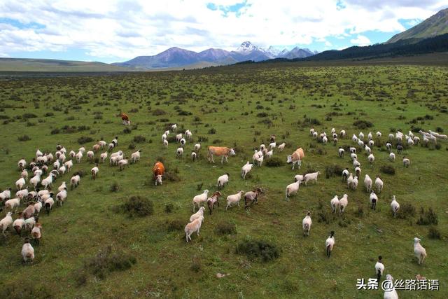 山丹：文旅融合赋新能 千年马场绽新颜