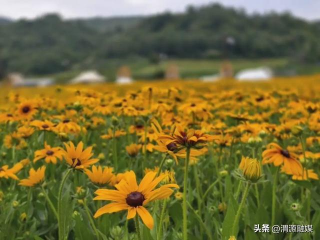 今夏清凉·美哉渭河源