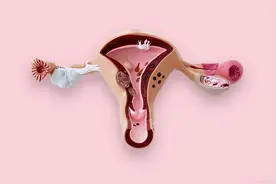 宫颈息肉需要手术吗？子宫内膜息肉影响怀孕吗？图片