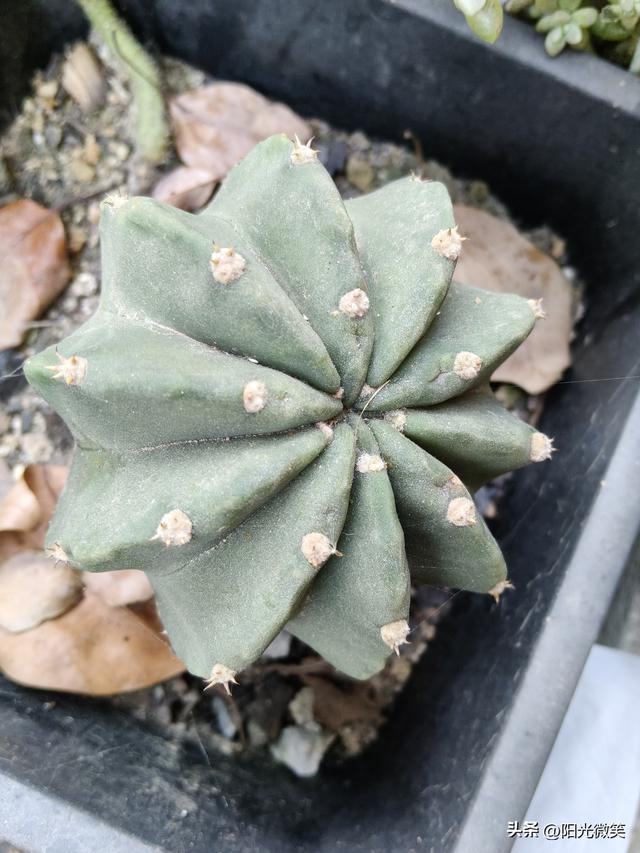 今天读了一篇文章，我终于知道钱是怎么来的。