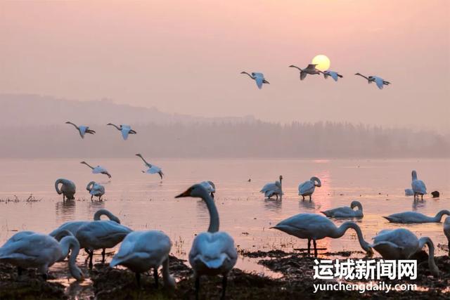 “淡季不淡”，运城文旅持续火热