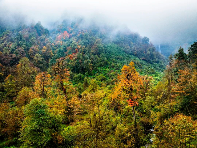 秋天还没过够？那就去乐山留住秋天！