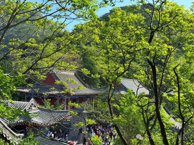 泰山中天门：春末夏初的绮梦之境